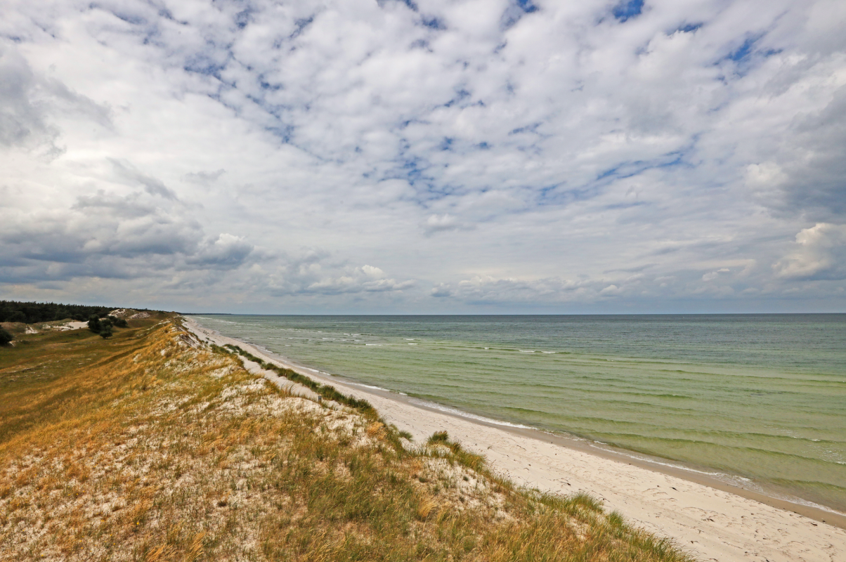 High Dune Pramort // © MV-T/Gohlke High Dune Pramort // © MV-T/Gohlke