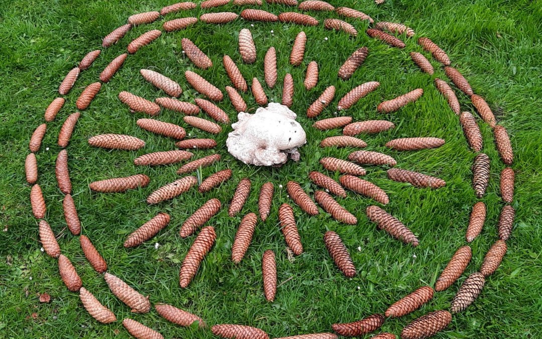 landart-zapfen, © Danuta Elfring