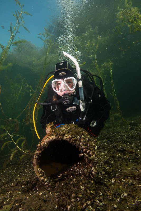 &copy; Tauchcenter Feldberg