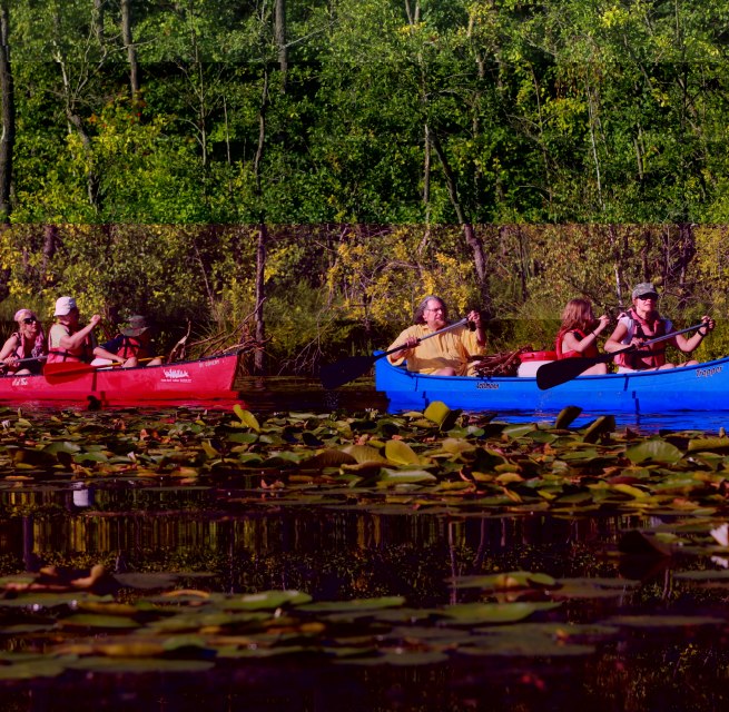 &copy; SeenLandAgentour GmbH