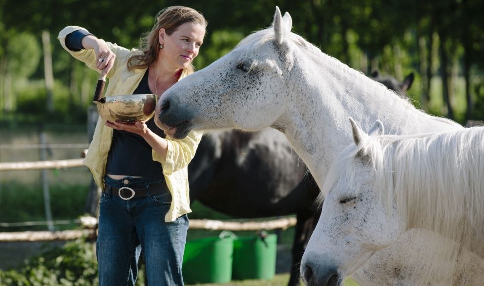 Sabine Schnabel - SOUND FOR HORSES: Every horse takes what it needs - alone or in the herd..., © Anika Büssemeier
