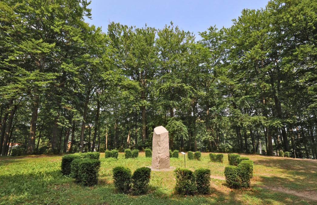 friedensberg- Baltic resort-sellin_4, © TMV/Gohlke friedensberg- Baltic resort-sellin_4, © TMV/Gohlke