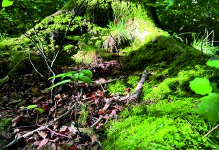 © Mitarbeiter3 © Mitarbeiter3