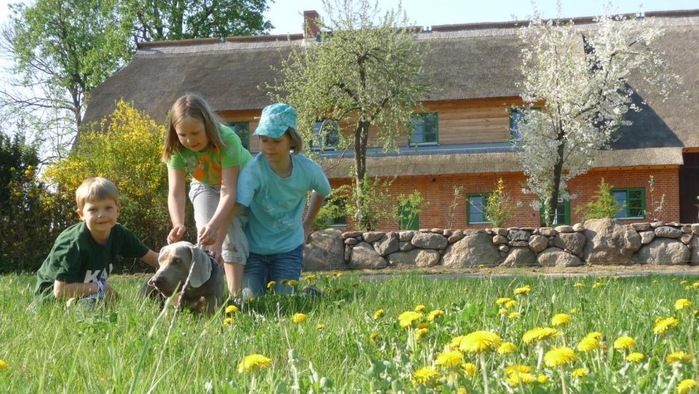 Vakantie voor het hele gezin op de boerderij // © Ostsee-Bauernhof-Hocke Vakantie voor het hele gezin op de boerderij // © Ostsee-Bauernhof-Hocke