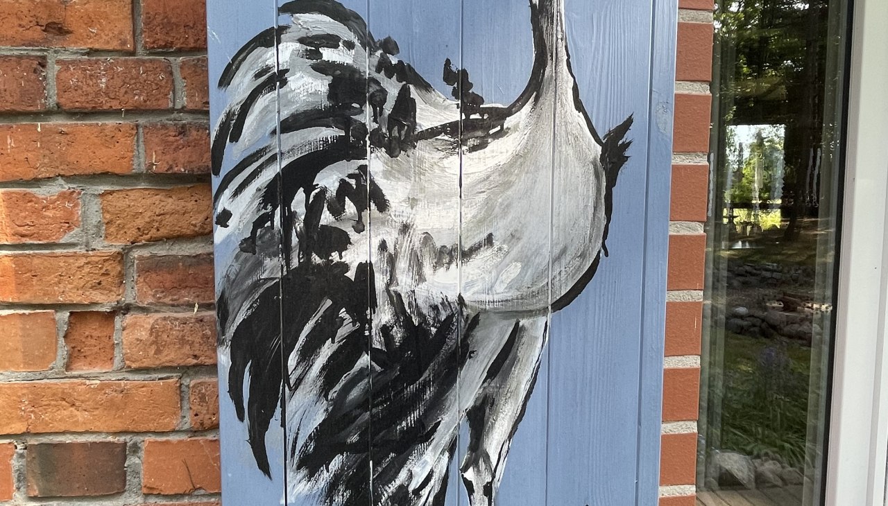 IMG_2673 - Kopie, © TZ Südliche Boddenküste IMG_2673 - Kopie, © TZ Südliche Boddenküste