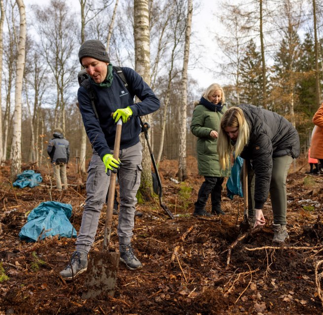 Doing good while planting trees and talking to colleagues about something other than work? Use the tree planting campaign as a company, © Rostocker Citylauf e.V.