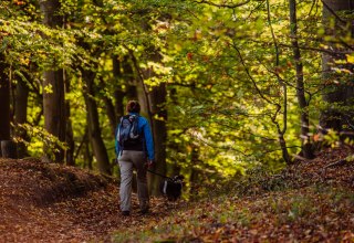 &copy; Binzer Bucht Tourismus