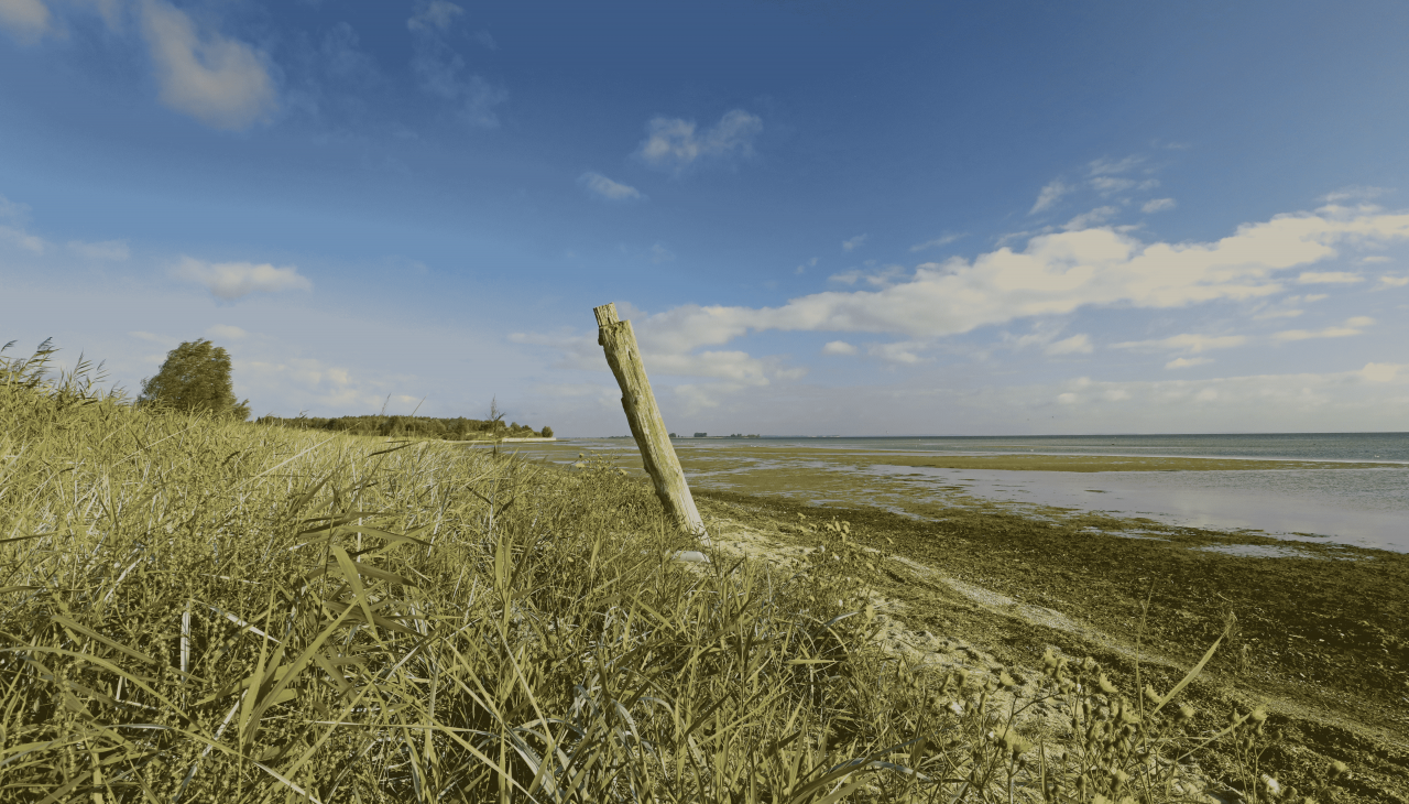 Naturalna plaża Wampen, © TMV/Gohlke