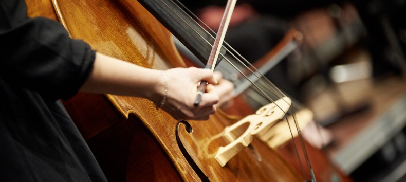 © Mirco Dalchow © Mirco Dalchow