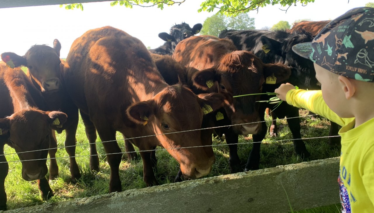 Sklep rolniczy Marihn, © Gut Marihn GmbH & Co. KG Sklep rolniczy Marihn, © Gut Marihn GmbH & Co. KG