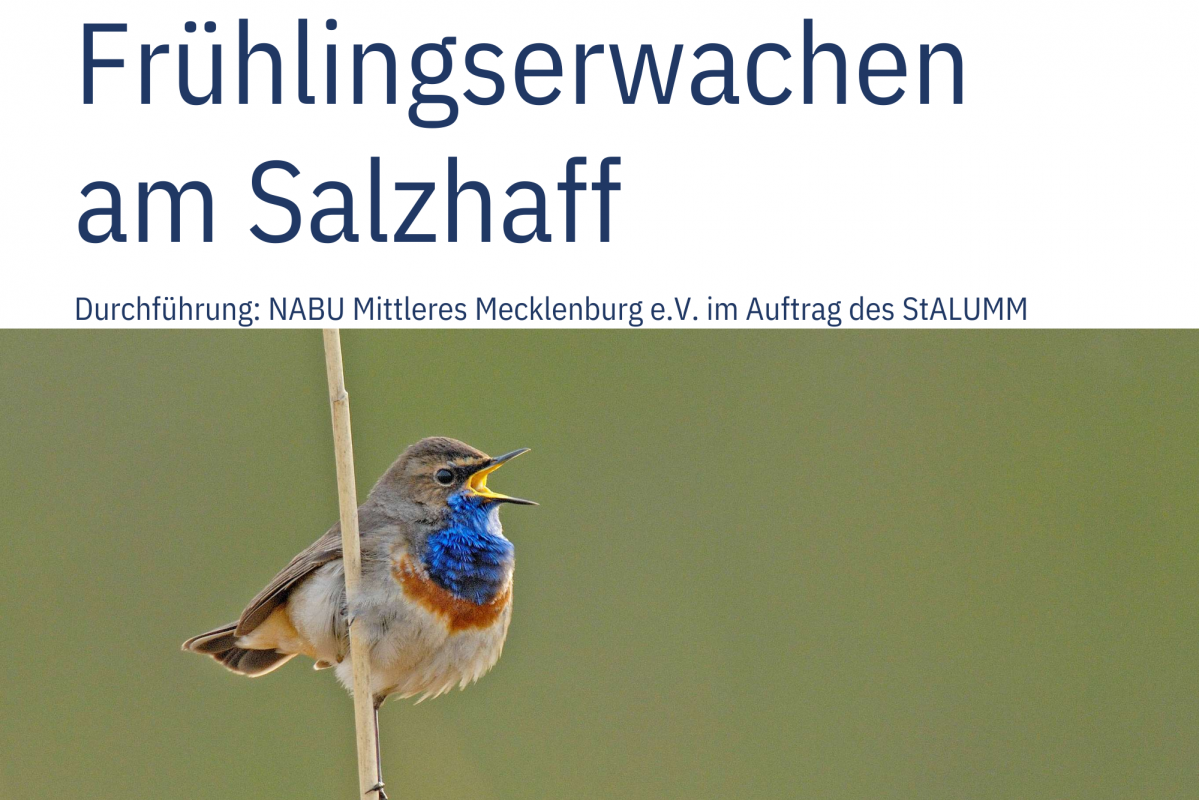 Szablon_Kalendarza wydarzeń 30 x 20 cm(2), © NABU NABU Mittleres Mecklenburg e.V. Szablon_Kalendarza wydarzeń 30 x 20 cm(2), © NABU NABU Mittleres Mecklenburg e.V.