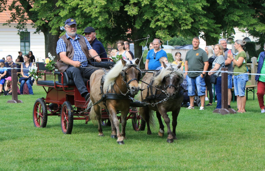 &copy; Sven F&ouml;rst