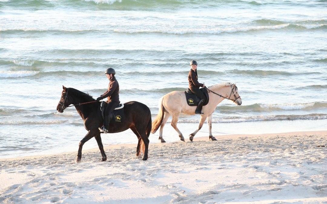 Horse riding on the beach, © TMV/ACP Pantel
