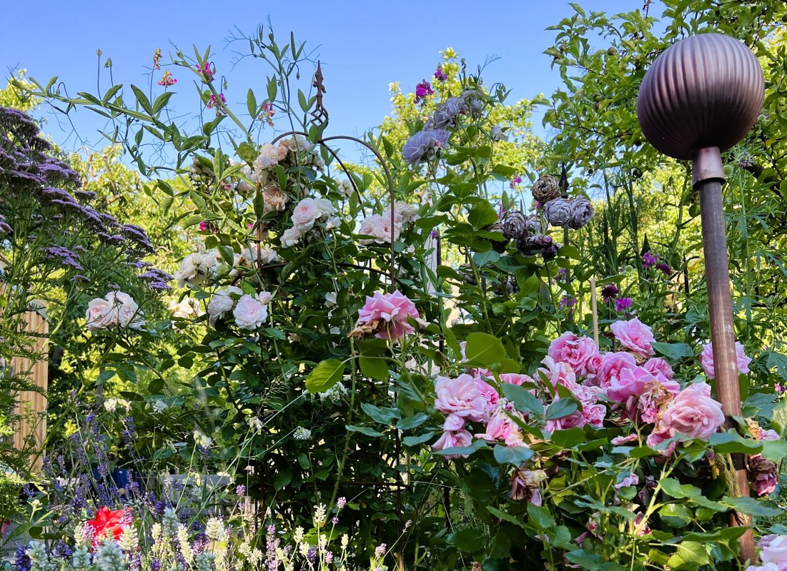 Prive tuin // © Steffi Karls Prive tuin // © Steffi Karls