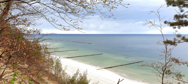 © 20210506_151112.jpg