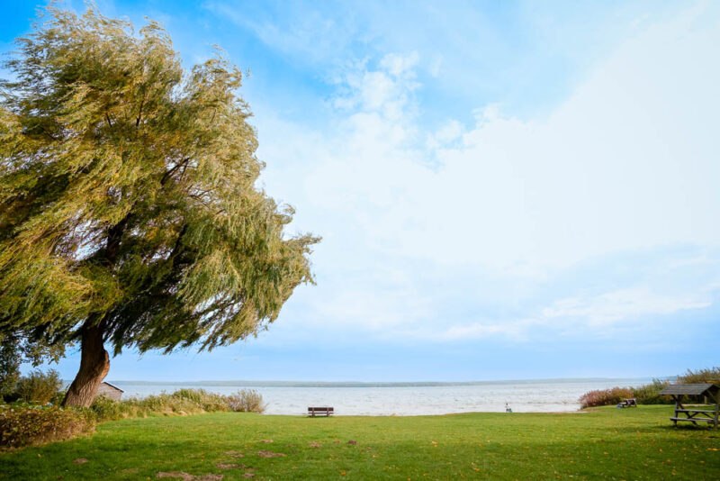 © Steffen Böttcher © Steffen Böttcher