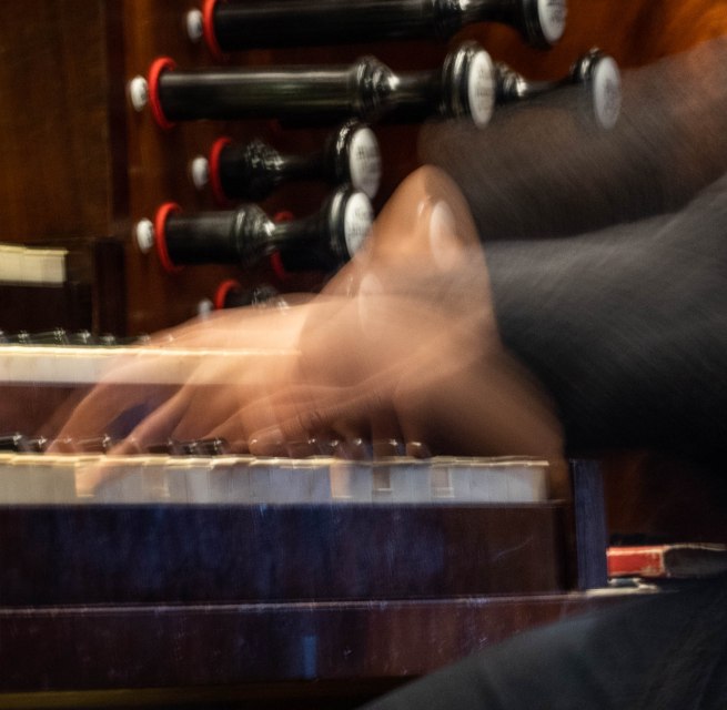 &copy; Geert Maciejewski