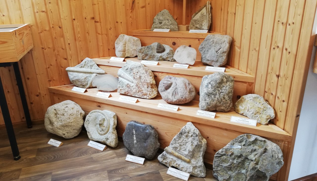 TMV/IMG_20220601_142835, &copy; Gemeinde Schwarz