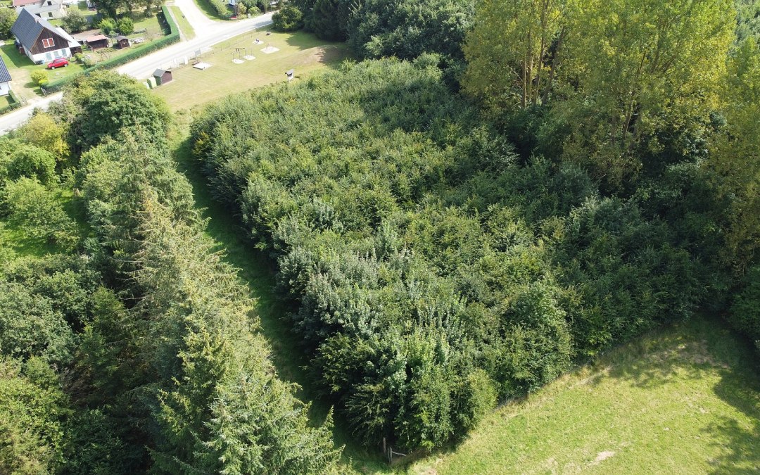 DJI_0498, © Landesforst MV