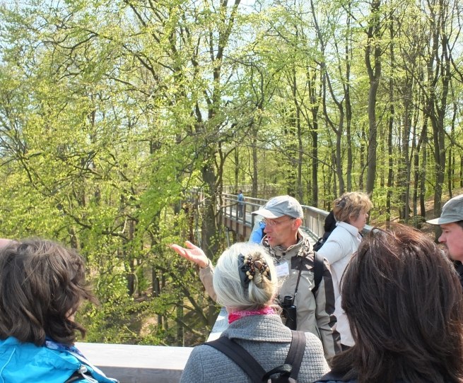 Guided tour of the treetop trail by a certified nature and landscape guide, &copy; Martin Hagemann