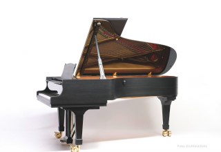 Steinway Fl&uuml;gel // &copy; Eichfeld Ketz