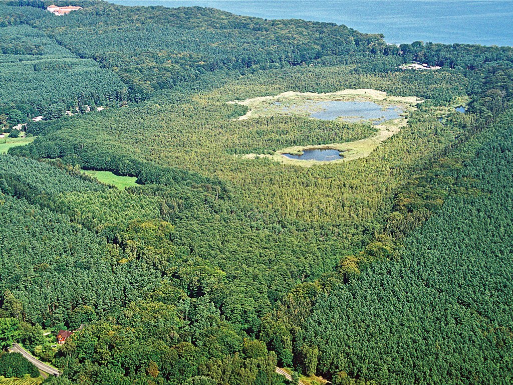 Rezerwat przyrody Wockninsee // &copy; Fotoarchiv Naturpark Insel Usedom