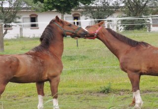 Kocham cię!, &copy; Kurverwaltung Insel Poel