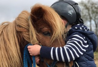 Er is ook een pony voor de kleintjes om te knuffelen, © Reitanlage Rodenberg