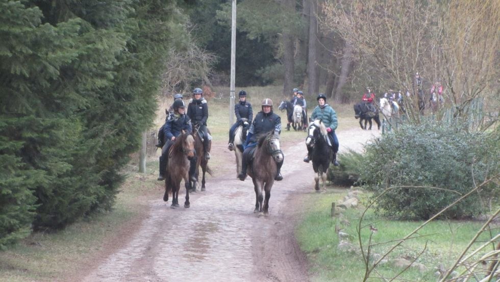 Experience rides high on horseback with the Strameuß Riding and Driving Club // © Reit- und Fahrverein Strameuß Experience rides high on horseback with the Strameuß Riding and Driving Club // © Reit- und Fahrverein Strameuß