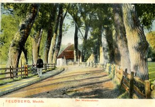© Frank Schütze © Frank Schütze