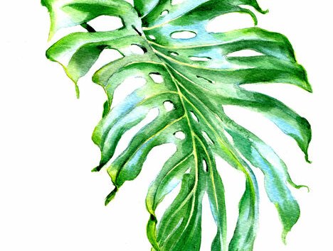 &copy; Jenny Thalheim