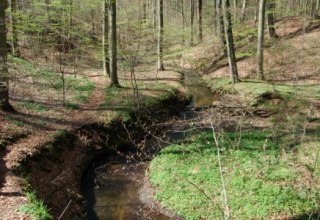 Klaasbach Valley &copy; Sternberg Lake District Nature Park // &copy; Naturpark Sternberger Seenland