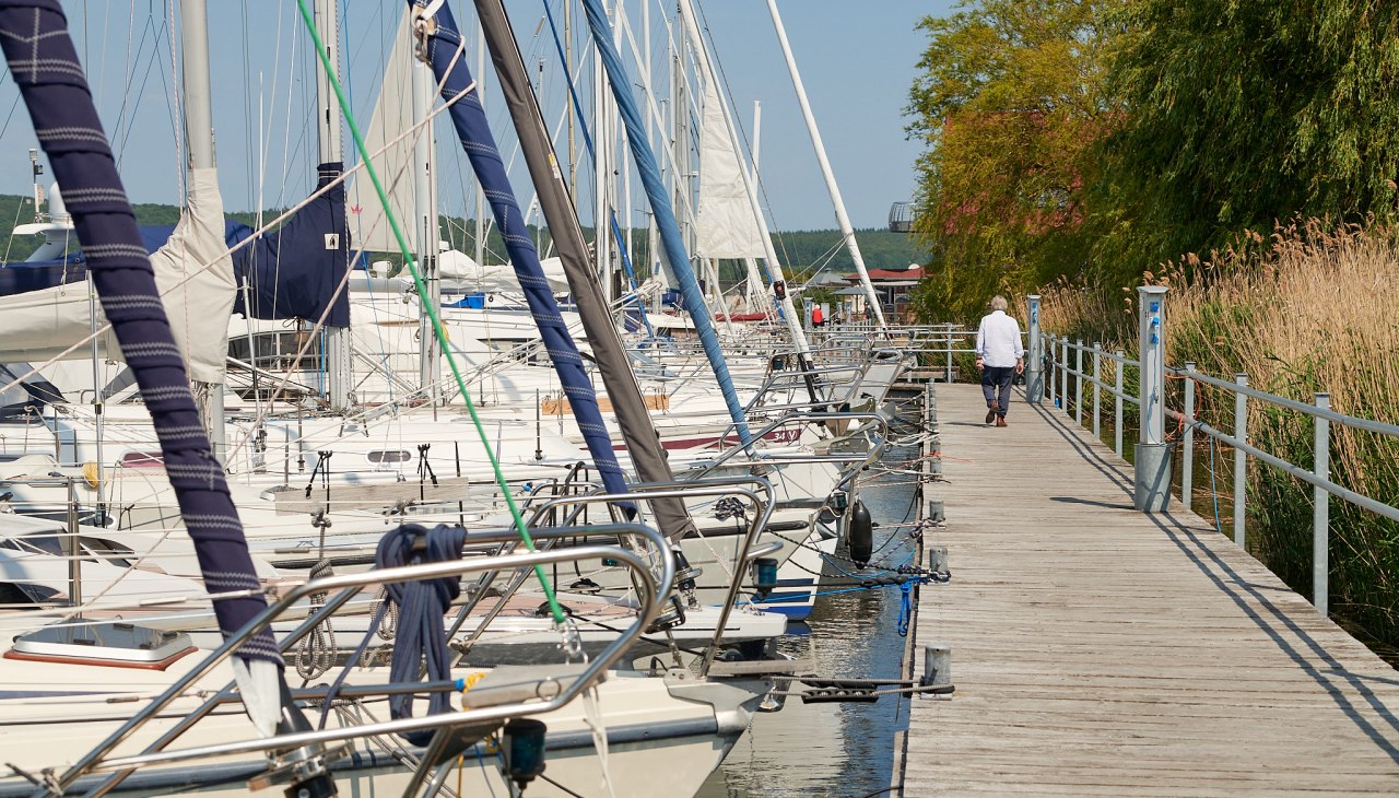 20230610-Seedorf-16-Foto-ChBurwitz, &copy; ChB