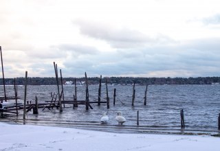 © Kurverwaltung Mönchgut © Kurverwaltung Mönchgut