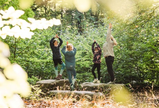 Een groep kinderen en een volwassene beoefenen yoga in het bos, staand op grote stenen omringd door groen gebladerte.