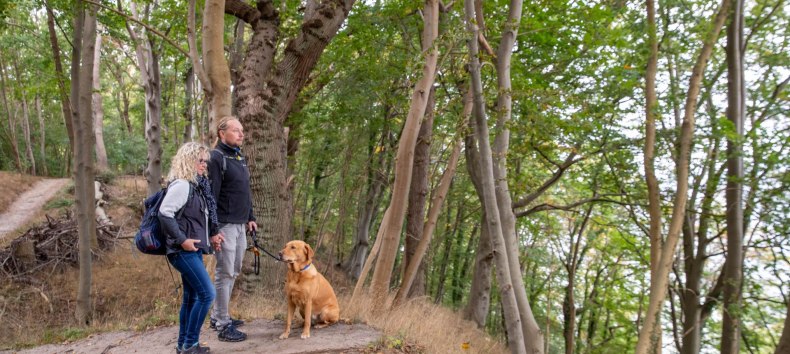 © Kurverwaltung Goehren / Martin Stoever