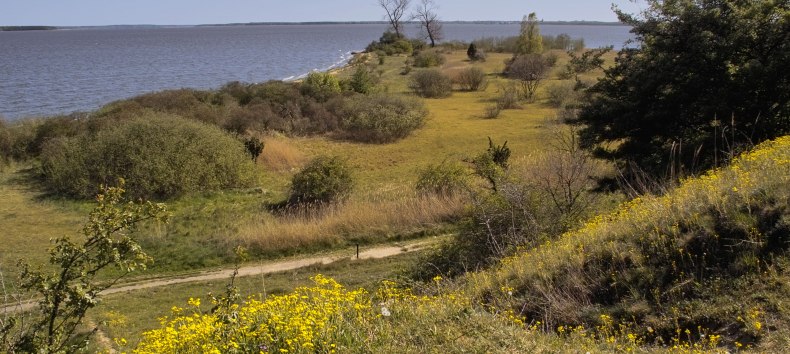 Blick auf das Naturschutzgebiet Gnitz // &copy; Fotoarchiv Naturpark Insel Usedom