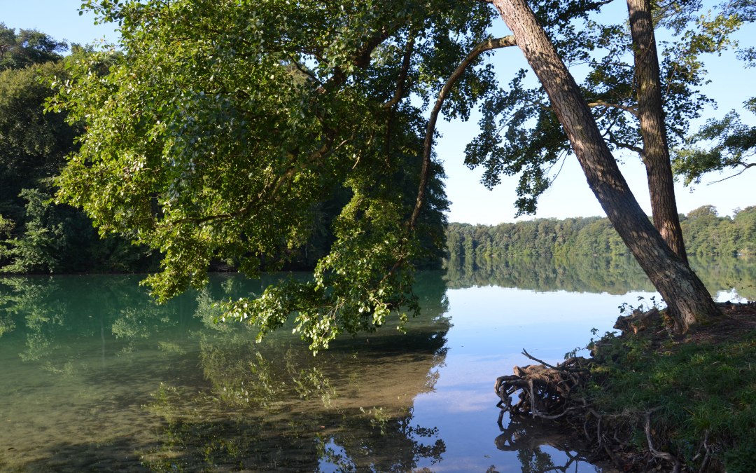Kąpielisko Kozia Łąka na wąskiej rzece Luzin, © Kurverwaltung FSL Kąpielisko Kozia Łąka na wąskiej rzece Luzin, © Kurverwaltung FSL
