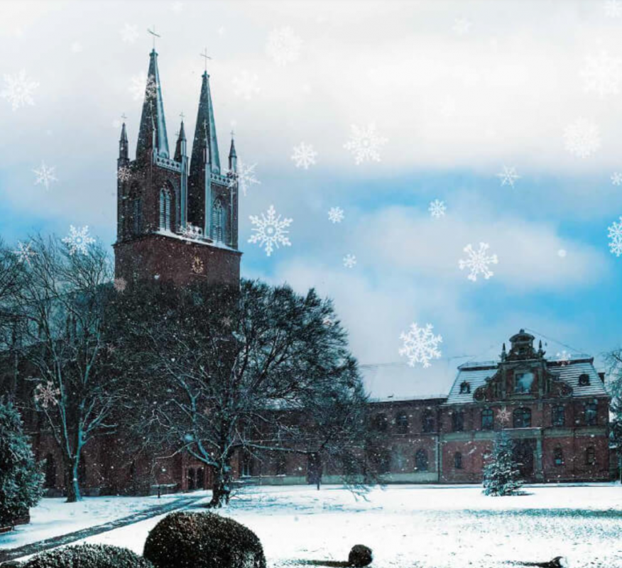 &copy; https://kloster-dobbertin.de/events/adventsmarkt-dobbertin-2026-kloster-dobbertin-28-11/