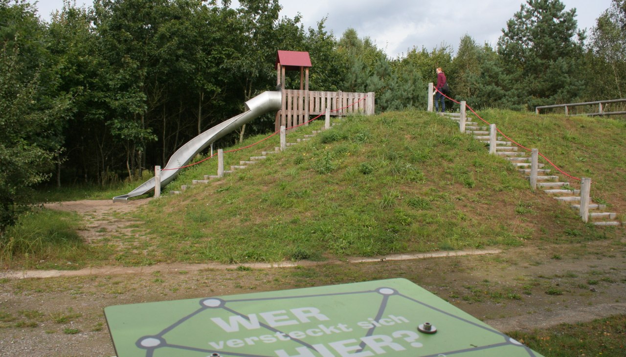Biodiversiteitsontdekkingspad op de Rostocker Heide, © Stadtforstamt Rostock/P. Kuhr