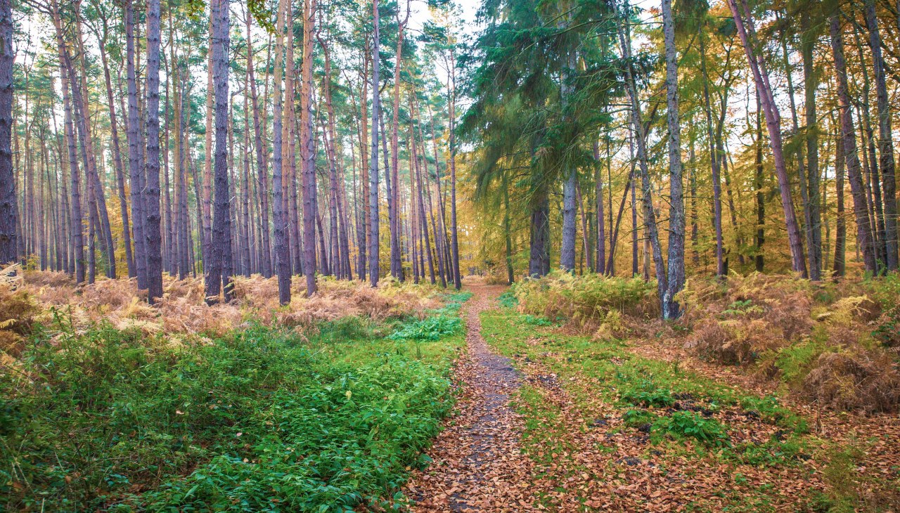 © insel-fotograf.eu, Andreas Dumke