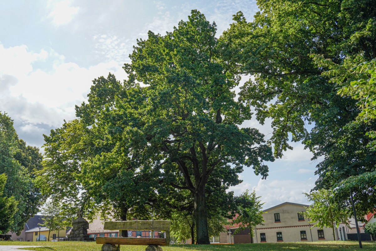 &copy; Bernsteinstadt Ribnitz-Damgarten