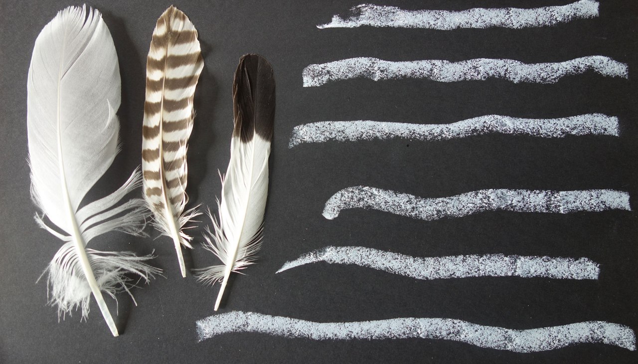 Springs_kvs, &copy; Kristine von Soden