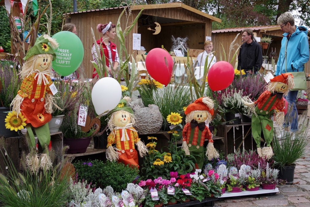 &copy; Mueumsanlage Gadebusch