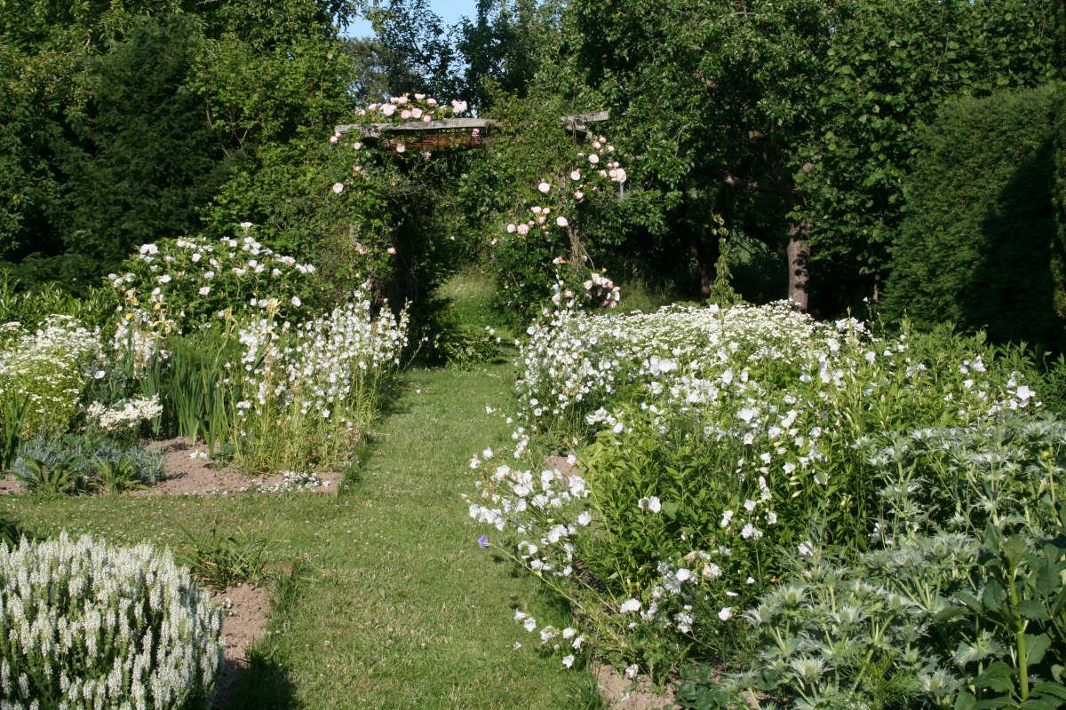 The white garden unfolds its splendor at dusk. Here you can see white-flowering summer flowers, perennials and shrubs. // &copy; Dirk Endrulat