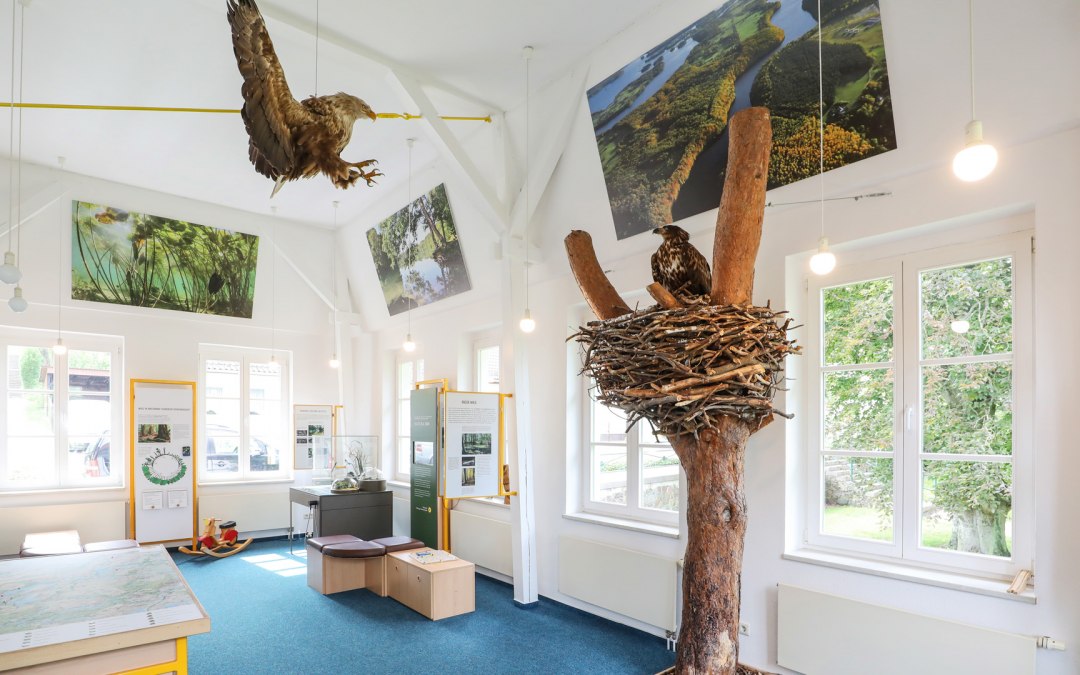Tentoonstelling over het Natuurpark merengebied Feldberg in het Haus des Gastes_2, © TMV/Gohlke