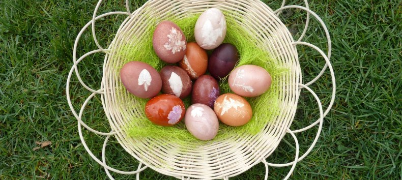 Mit Pflanzen und Pflanzenteilen gef&auml;rbte Eier. // &copy; LAKD M-V