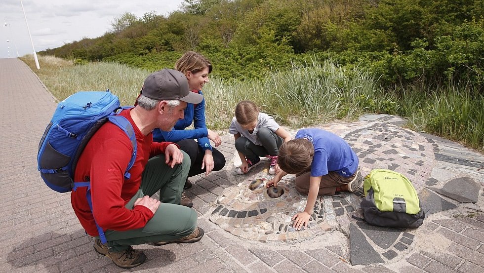 Flądra wielkiej flory i fauny, &copy; TMV/outdoor-visions.com