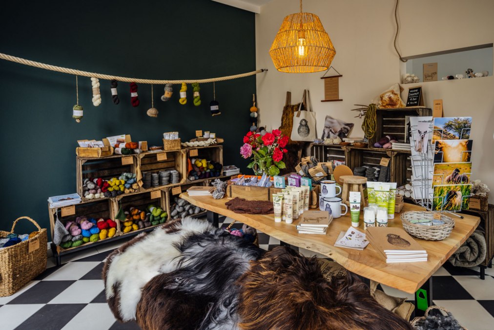 Winkel op, © calling sheep