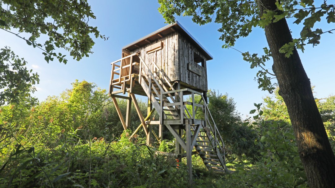 Platforma widokowa Seeadler_4, © TMV/Gohlke